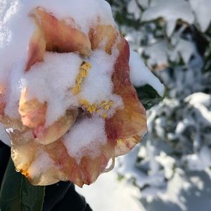 Meet your Posher, Patty